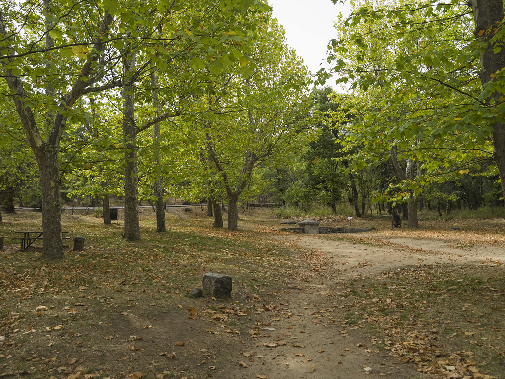 bosque_herreria